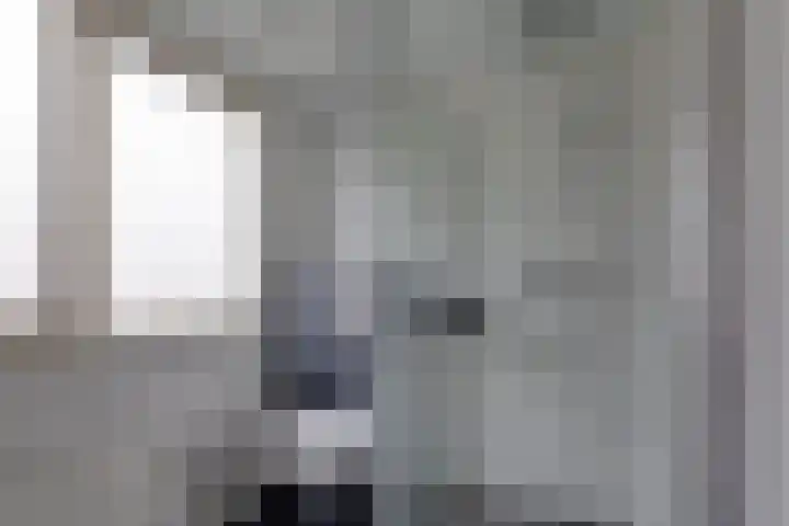 Meeuwenlaan 14 Vries thumbnail 18