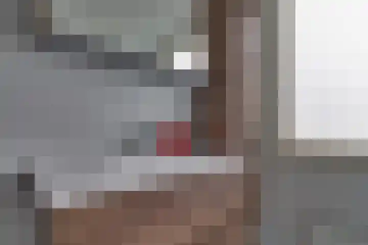 Meeuwenlaan 14 Vries thumbnail 19
