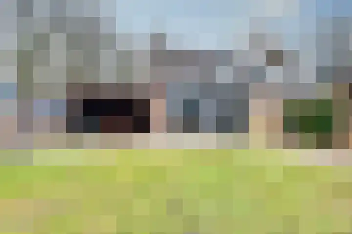 Meeuwenlaan 14 Vries thumbnail 22