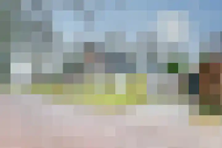 Meeuwenlaan 14 Vries thumbnail 26