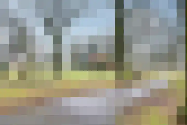 Meeuwenlaan 14 Vries thumbnail 27