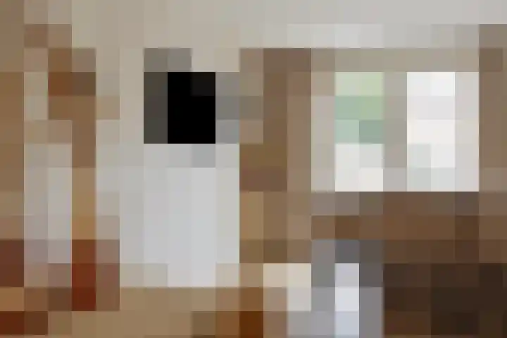 Meeuwenlaan 18 Made thumbnail 13