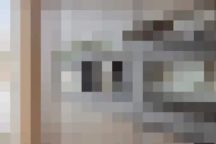 Meeuwenlaan 18 Made thumbnail 17