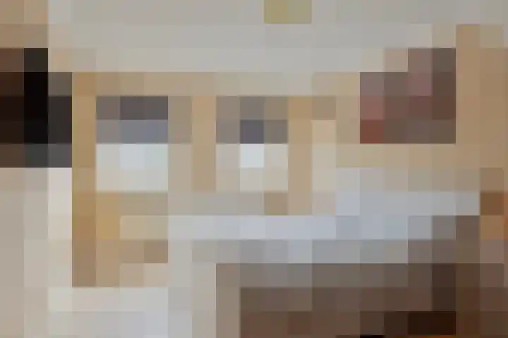 Meeuwenlaan 18 Made thumbnail 23