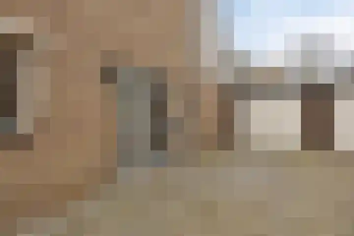 Meeuwenlaan 18 Made thumbnail 4