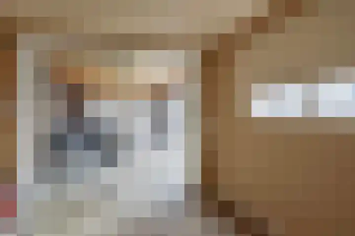 Meeuwenlaan 18 Made thumbnail 45