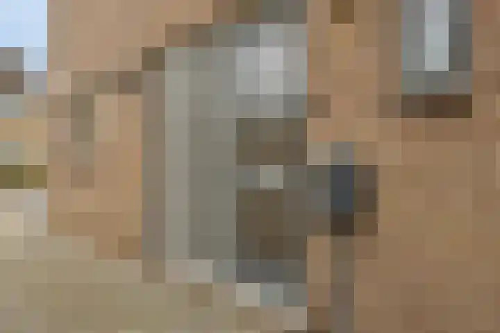 Meeuwenlaan 18 Made thumbnail 48