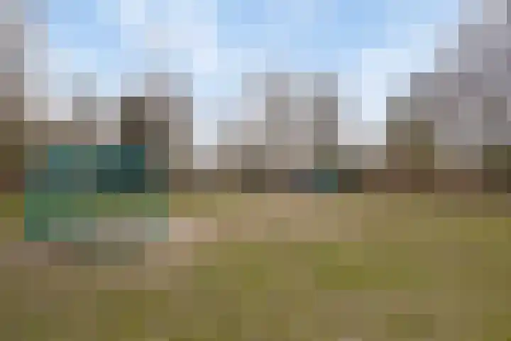 Meeuwenlaan 18 Made thumbnail 49