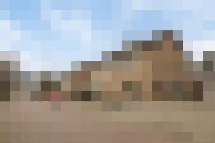 Meeuwenlaan 18 Made thumbnail 5