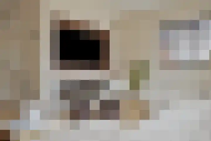Meeuwenlaan 18 Made thumbnail 6