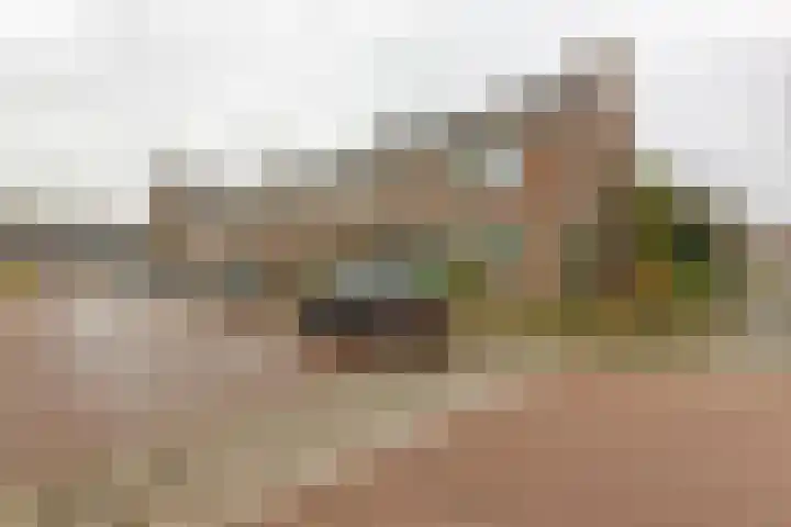 Meeuwenlaan 2 Leiderdorp