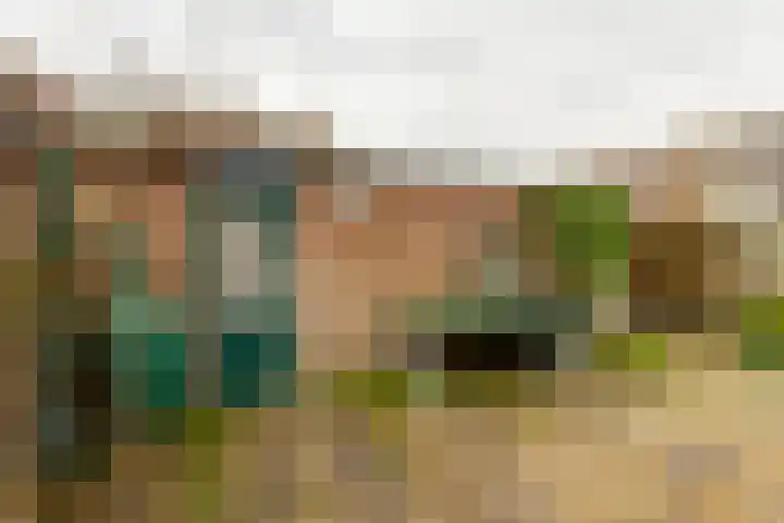 Meeuwenlaan 2 Leiderdorp thumbnail 13