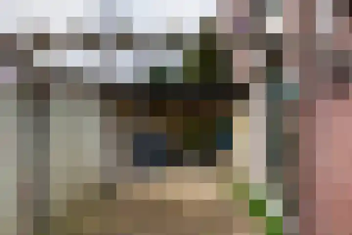Meeuwenlaan 2 Leiderdorp thumbnail 16