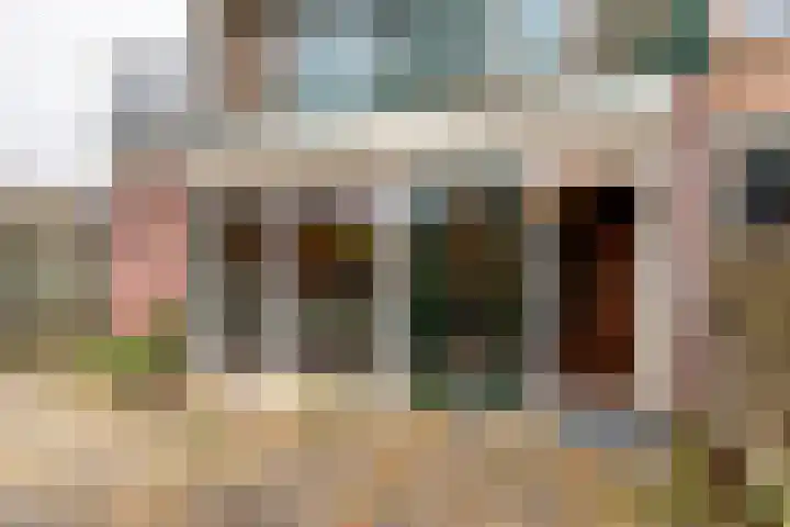Meeuwenlaan 2 Leiderdorp thumbnail 17