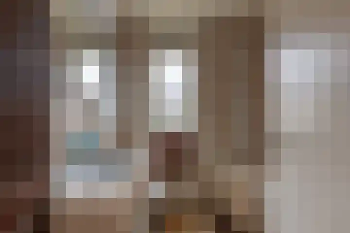 Meeuwenlaan 2 Leiderdorp thumbnail 24