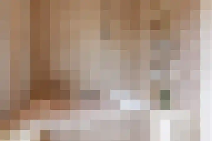 Meeuwenlaan 2 Leiderdorp thumbnail 26
