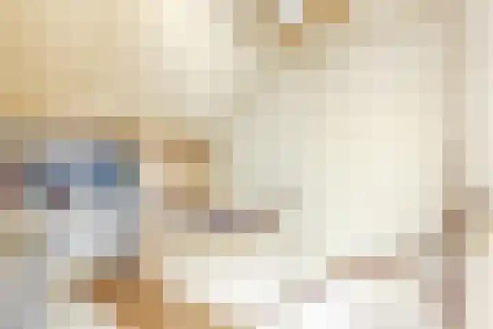Meeuwenlaan 2 Leiderdorp thumbnail 28