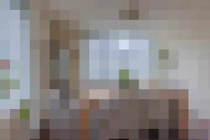 Meeuwenlaan 2 Leiderdorp foto 3