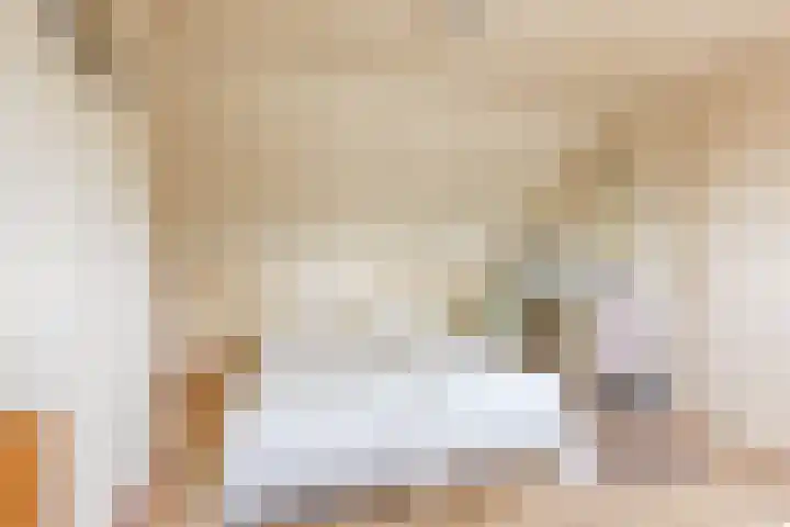 Meeuwenlaan 2 Leiderdorp thumbnail 30