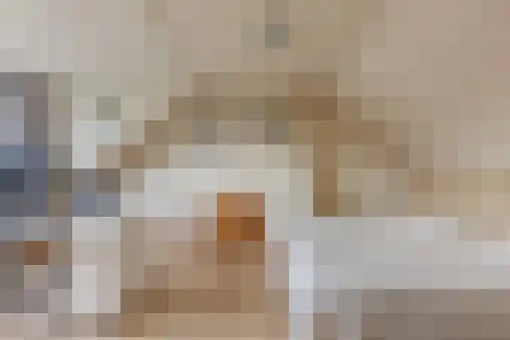 Meeuwenlaan 2 Leiderdorp thumbnail 31