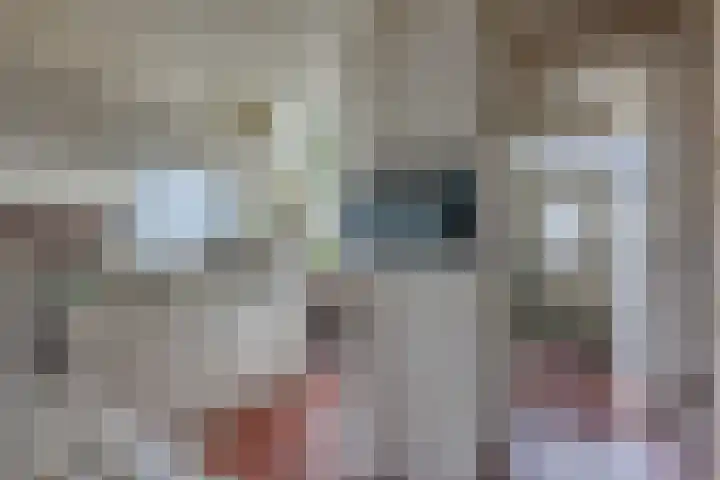 Meeuwenlaan 2 Leiderdorp thumbnail 5
