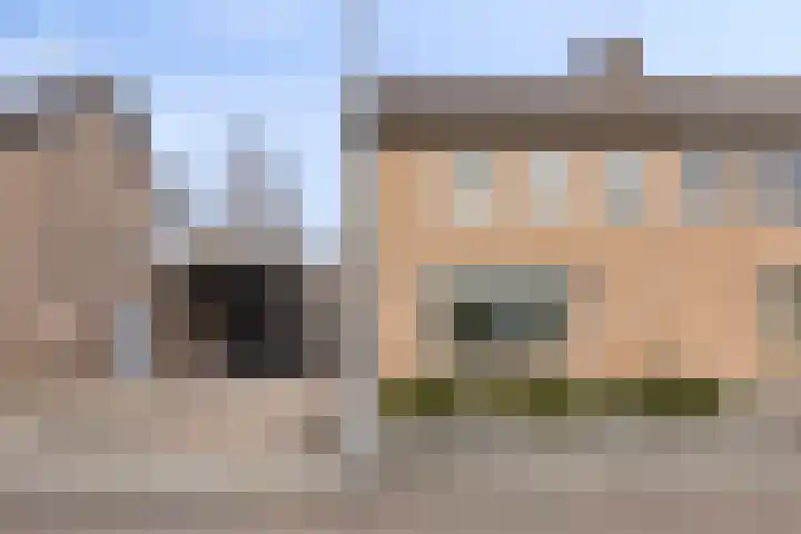 Meeuwenlaan 20 Made