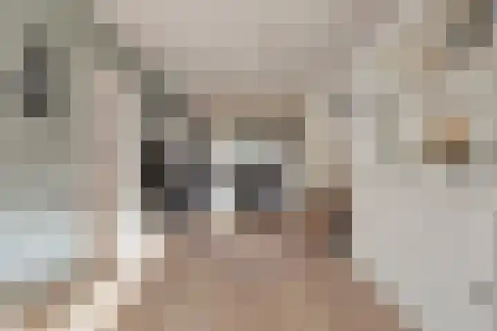 Meeuwenlaan 20 Made thumbnail 10