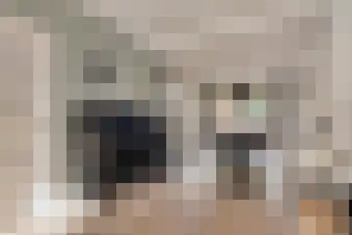 Meeuwenlaan 20 Made thumbnail 11