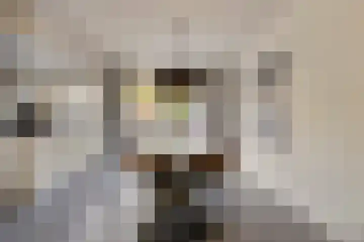 Meeuwenlaan 20 Made thumbnail 12