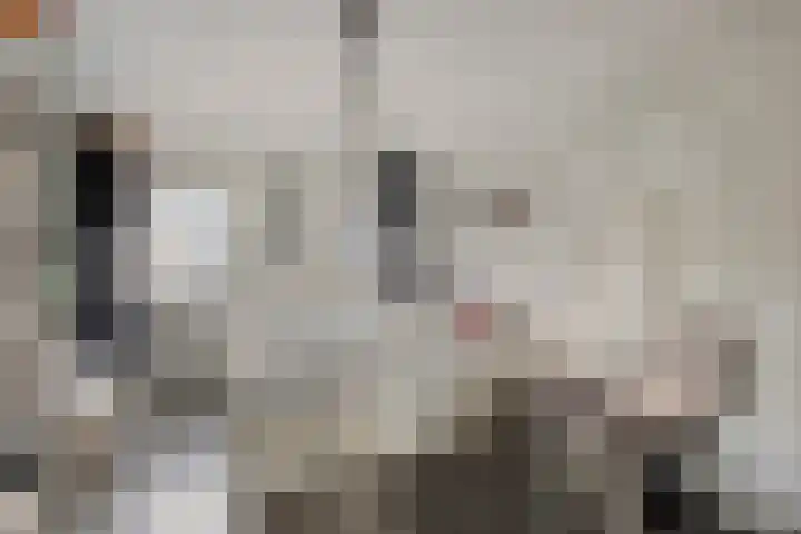 Meeuwenlaan 20 Made thumbnail 25