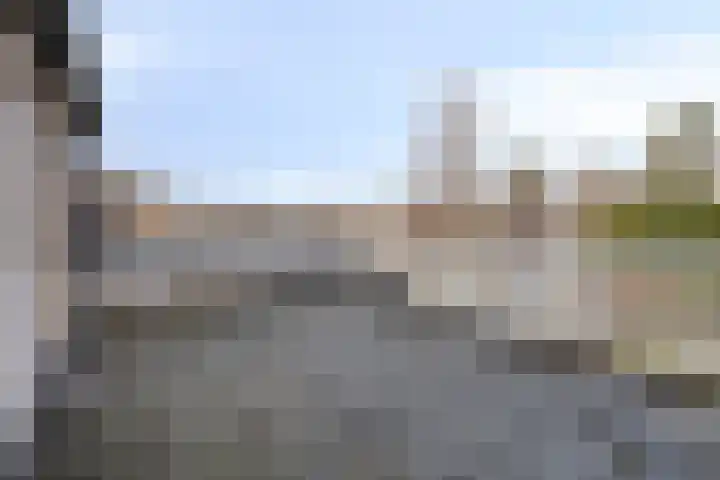 Meeuwenlaan 20 Made thumbnail 29