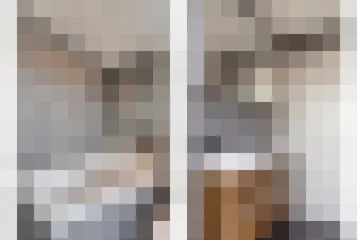 Meeuwenlaan 20 Made thumbnail 31