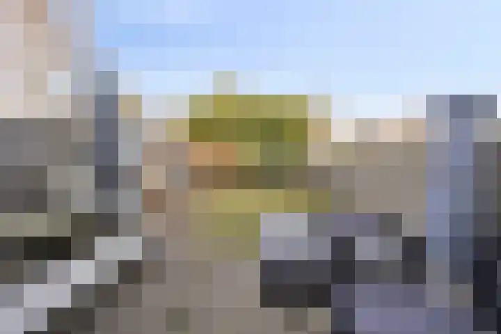 Meeuwenlaan 20 Made thumbnail 36