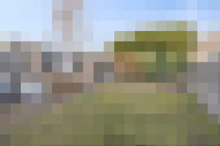 Meeuwenlaan 20 Made thumbnail 39