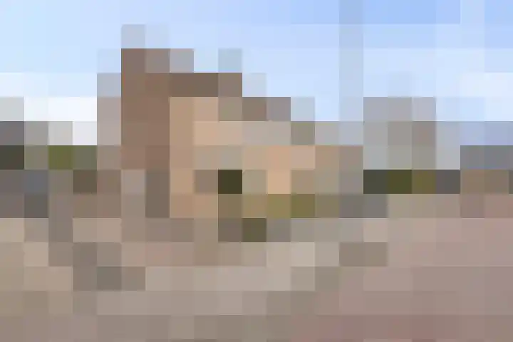 Meeuwenlaan 20 Made thumbnail 4