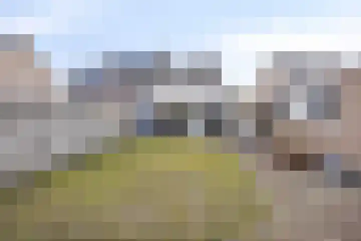 Meeuwenlaan 20 Made thumbnail 41