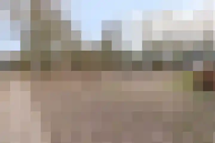 Meeuwenlaan 20 Made thumbnail 45