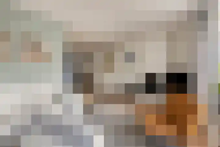 Meeuwenlaan 20 Made thumbnail 8