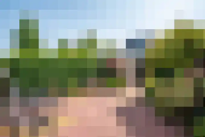 Meeuwenlaan 7 Groet thumbnail 15
