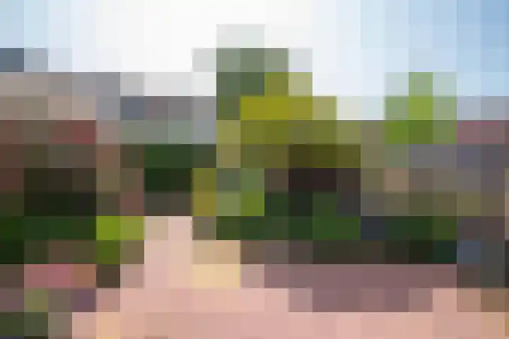 Meeuwenlaan 7 Groet thumbnail 16