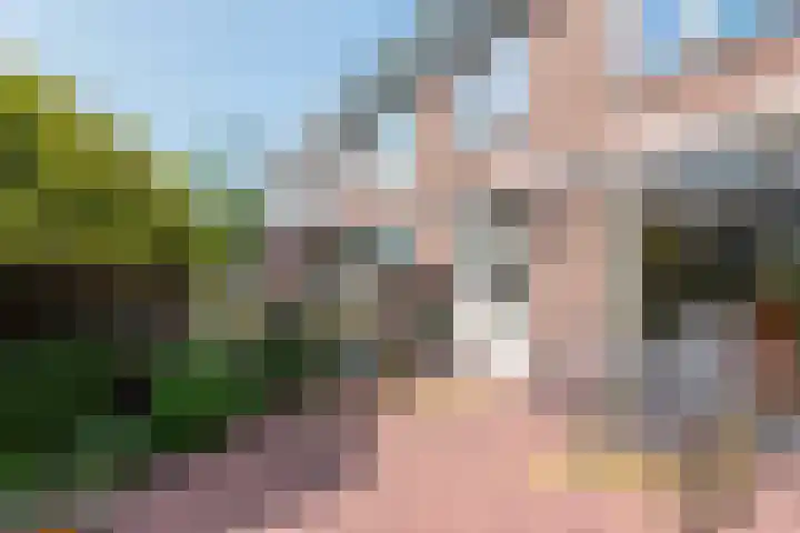 Meeuwenlaan 7 Groet thumbnail 18