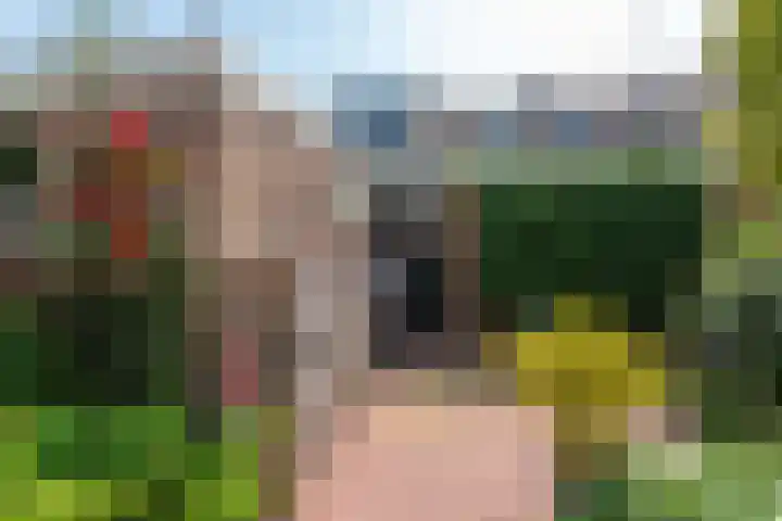 Meeuwenlaan 7 Groet thumbnail 19