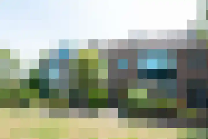 Meeuwenlaan 7 Groet foto 2