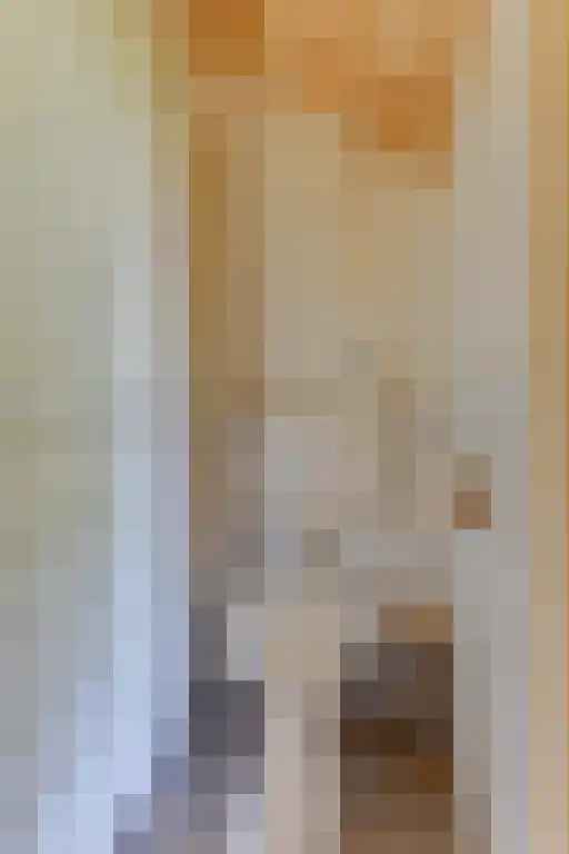 Meeuwenlaan 7 Groet thumbnail 22