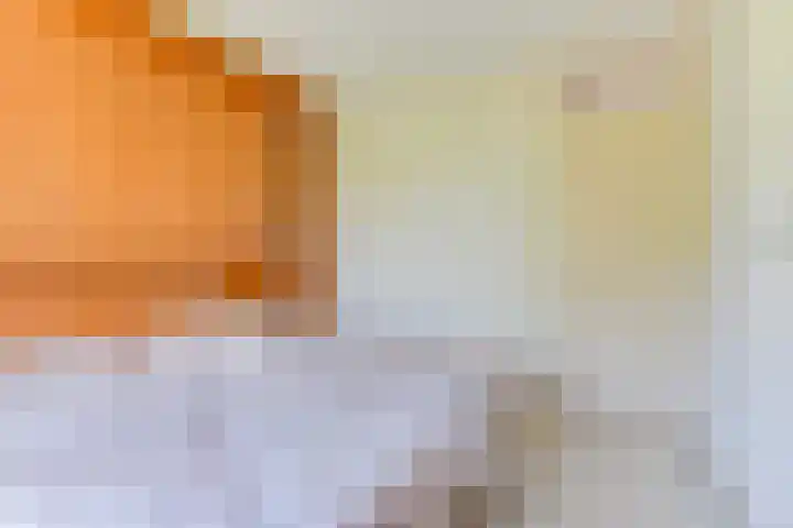 Meeuwenlaan 7 Groet thumbnail 26