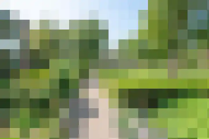 Meeuwenlaan 7 Groet thumbnail 39