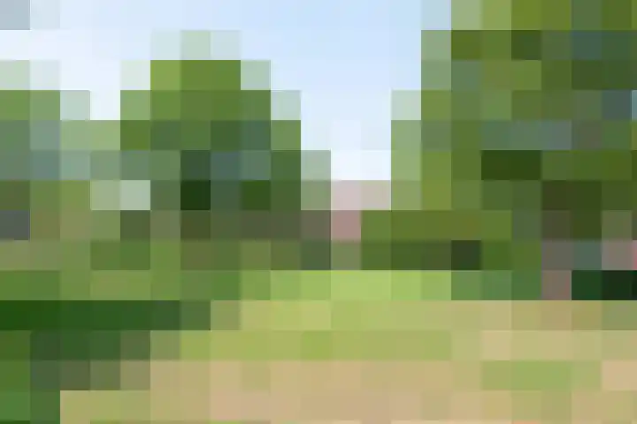 Meeuwenlaan 7 Groet thumbnail 40