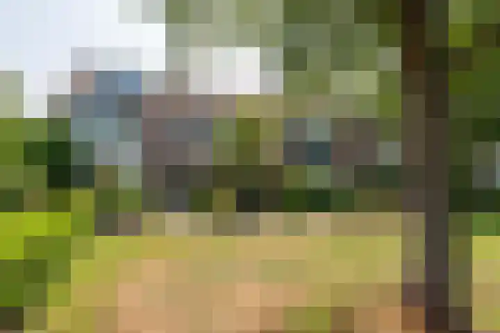 Meeuwenlaan 7 Groet thumbnail 41