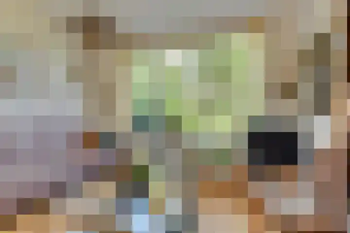 Meeuwenlaan 7 Groet thumbnail 9