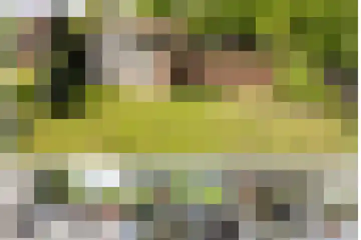 Meeuwenlaan 9 in Vries